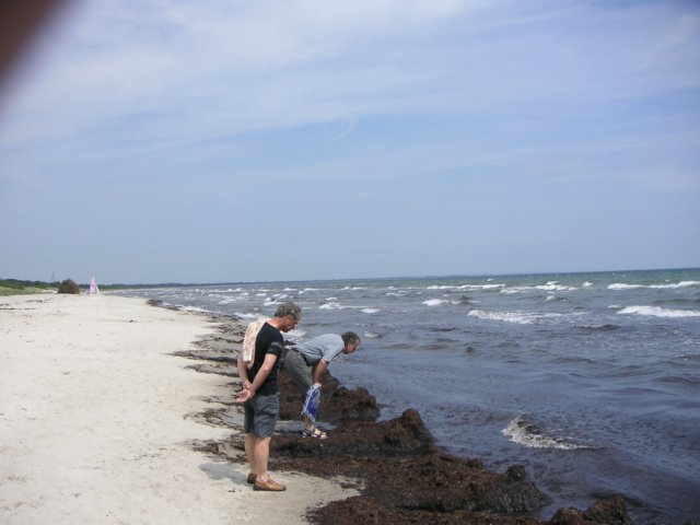 d8ct0634.jpg