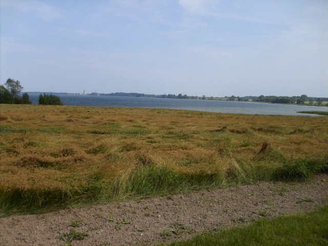 d8ct0759.jpg