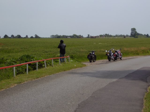 d8ct0761.jpg